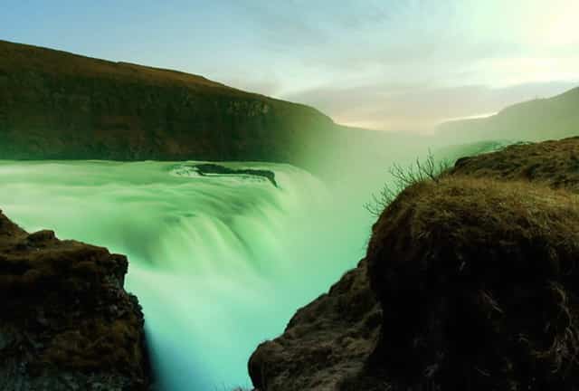 毒蘑菇会有毒吗